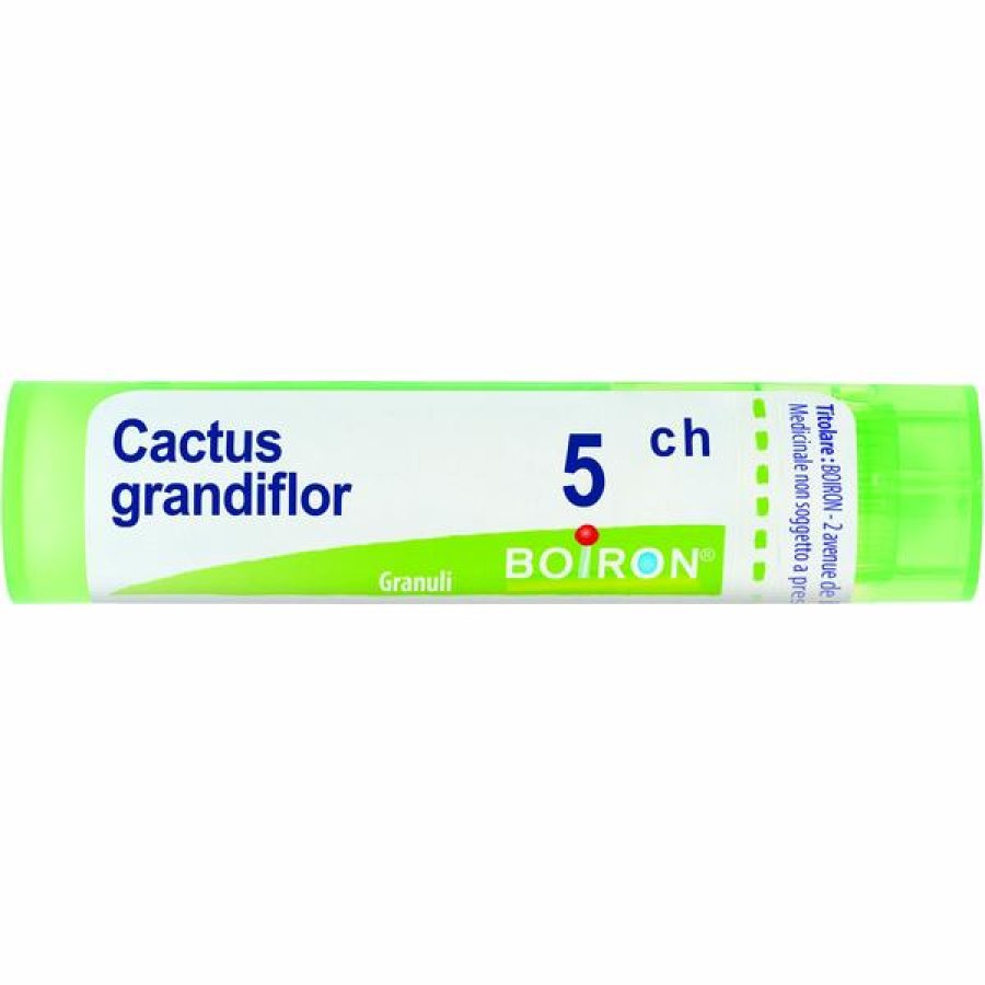 CACTUS GRAND BOI*5CH GR 4G
